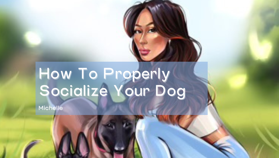 socialize your dog